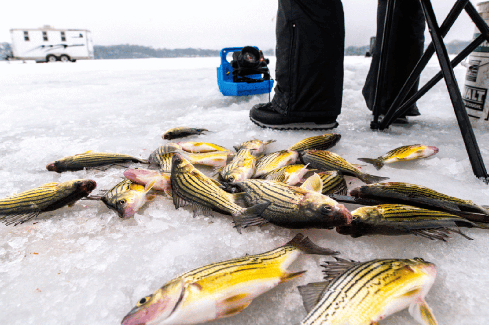 Ice fishing on the Fairmont lakes