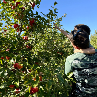 Timberlake Orchard