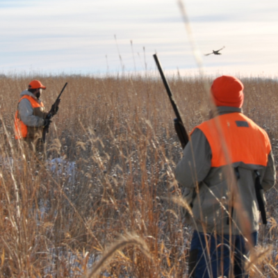 Hunting in Fairmont