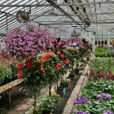 Janzen's Greenhouse