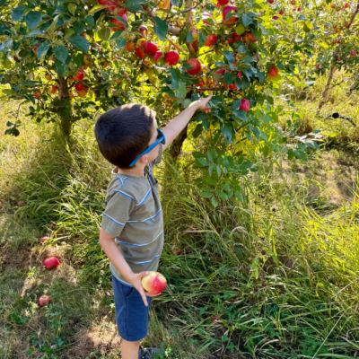 Timberlake Orchard