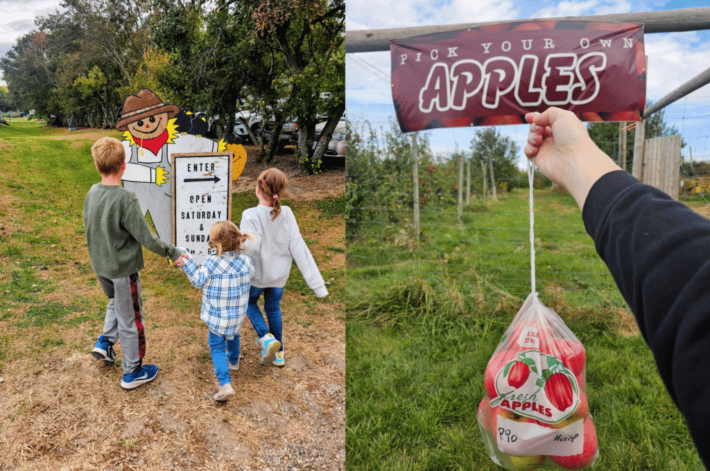 apple orchards in Fairmont
