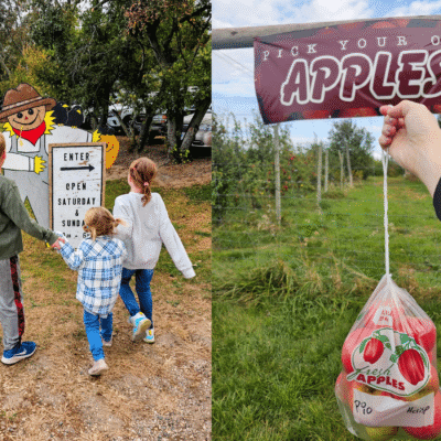 apple orchards in Fairmont