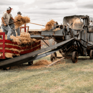 Thresing Days at Heritage Acres in Fairmont, Minnesota